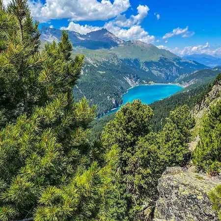 In Den Bergen Mit Grosser Terrasse Lejlighed Bivio