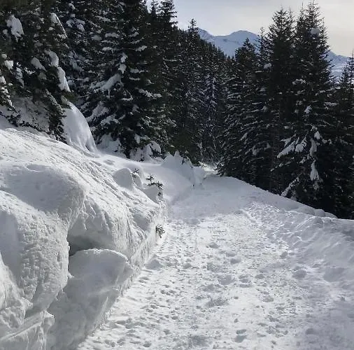In Den Bergen Mit Grosser Terrasse Appartamento Bivio