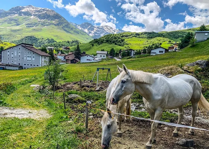 In Den Bergen Mit Grosser Terrasse Appartamento *
